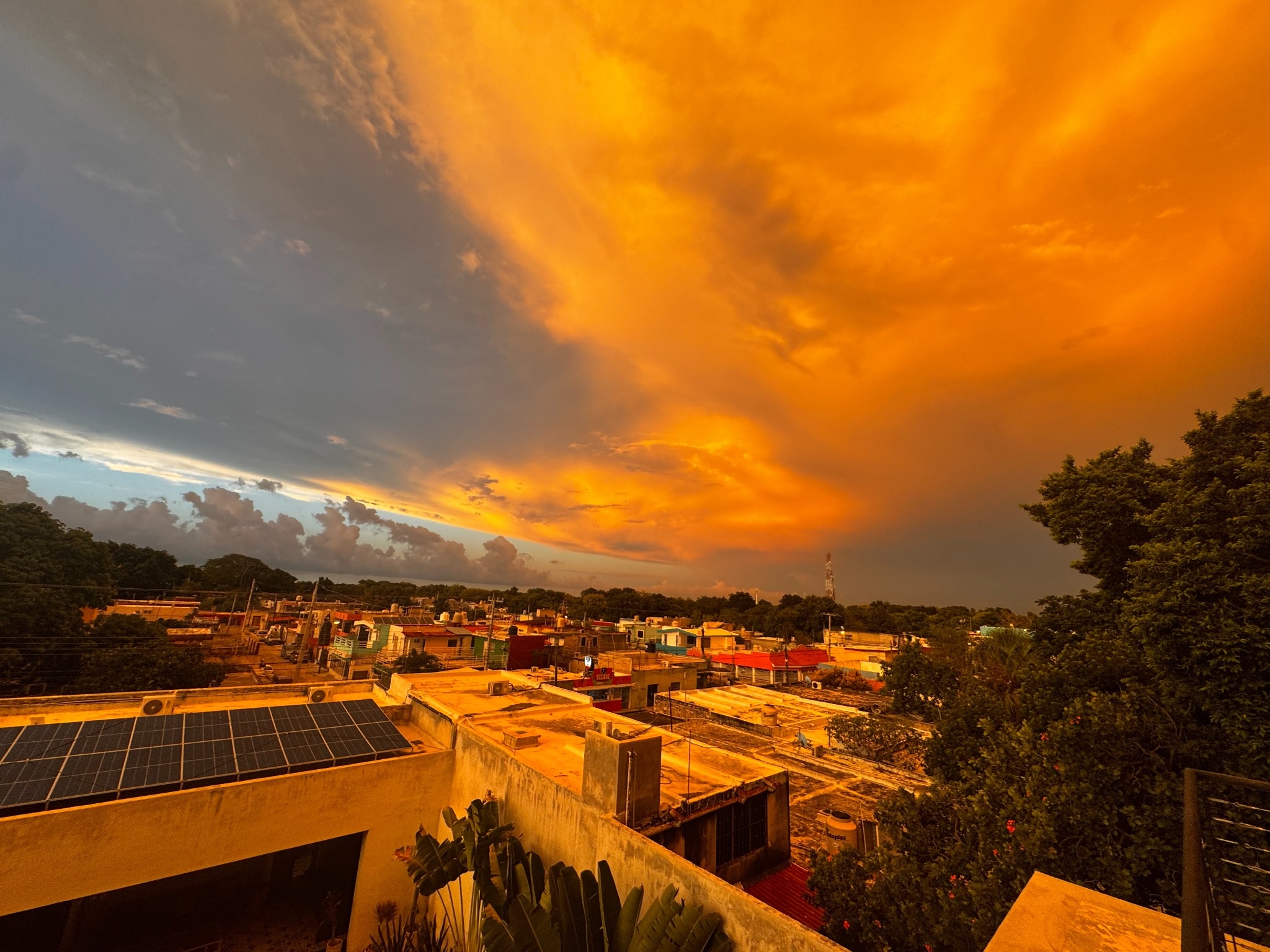 Rooftop · a sweep of golden sky